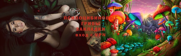МДПВ Алзамай
