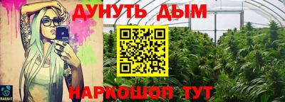 apvp Славгород