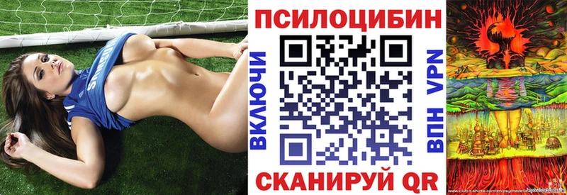 Галлюциногенные грибы Psilocybe Тара