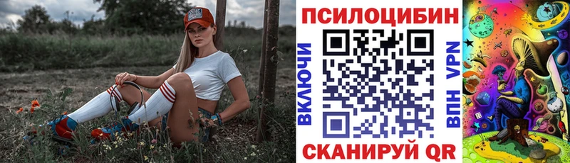 Псилоцибиновые грибы прущие грибы  купить наркотики сайты  Тара 