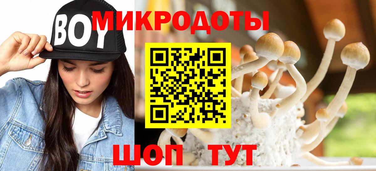 Галлюциногенные грибы MAGIC MUSHROOMS Тара